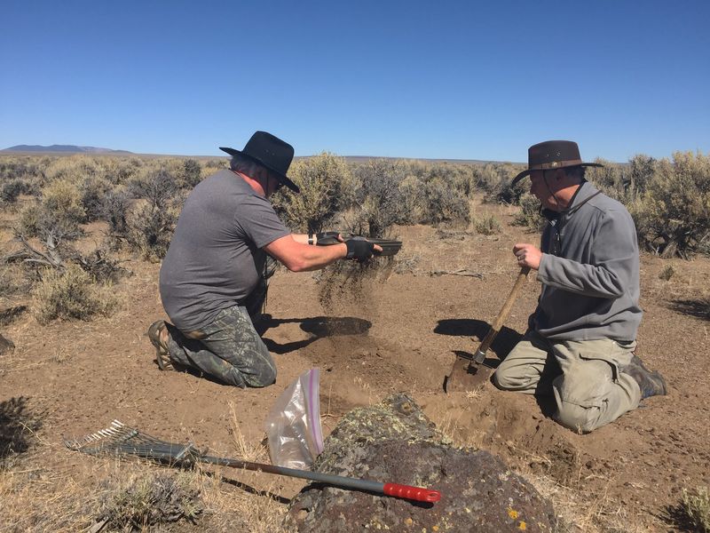 Gear That Turns Searching Into Finding