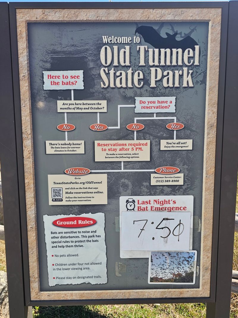 Tickets, Timing, And The No-Signal Surprise