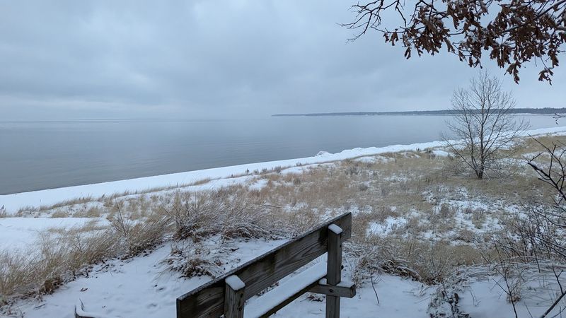 Snow Turns The Whole Park Into A Hushed Winter Playground