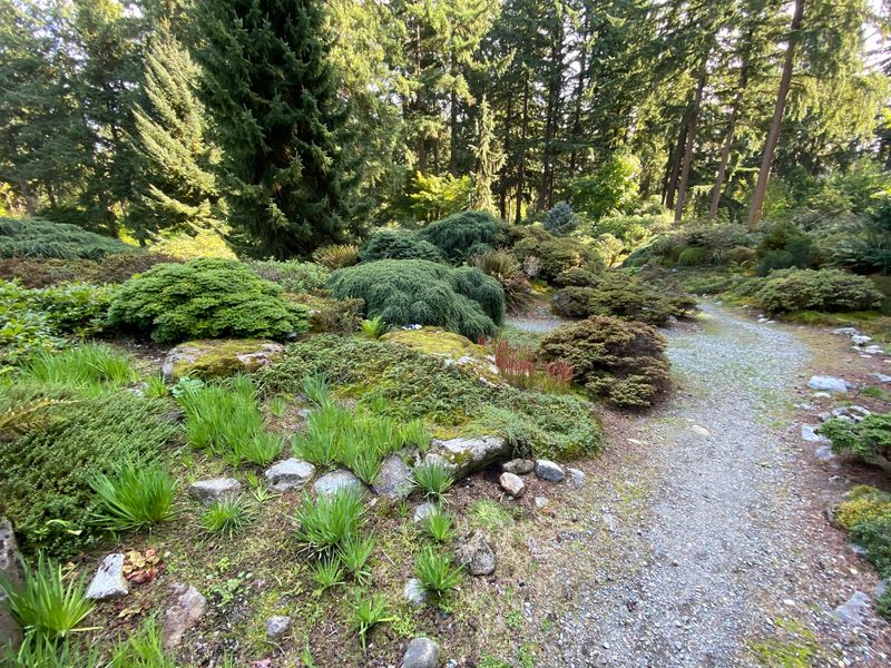 Looping Paths You Can Wander Without Worry