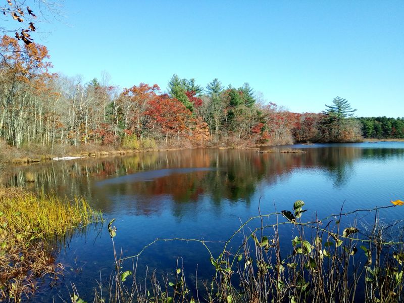 Borderland State Park: Autumn Around an Old Estate