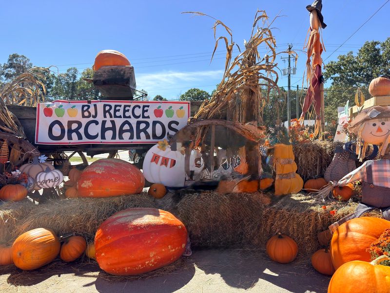 B.J. Reece Orchards - Ellijay, Gilmer County,