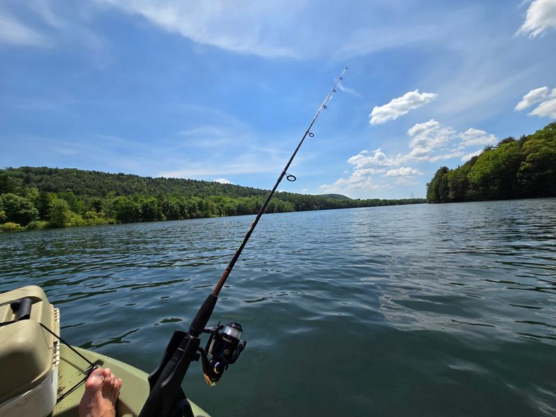 Striped Bass Swim Where Cornfields Once Grew