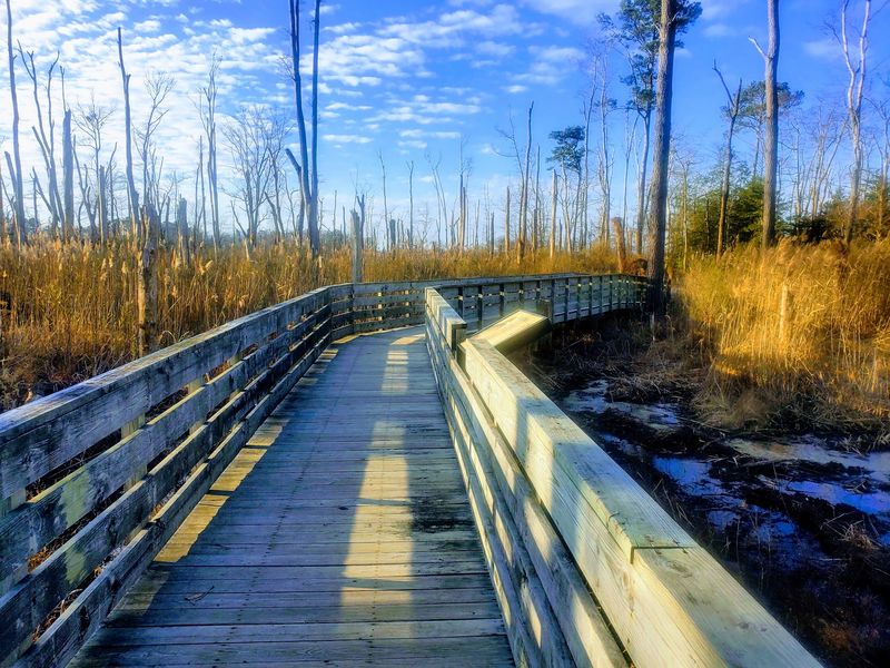 Prime Hook National Wildlife Refuge, Milton, DE