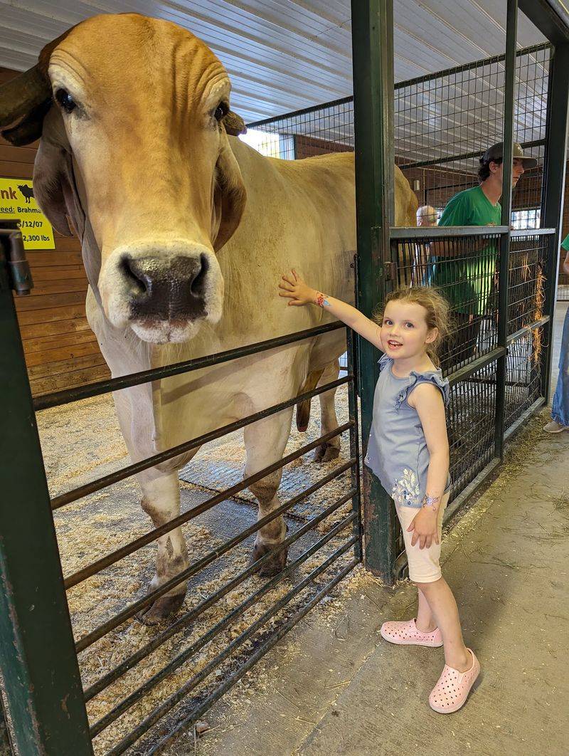 Green Meadows Petting Farm