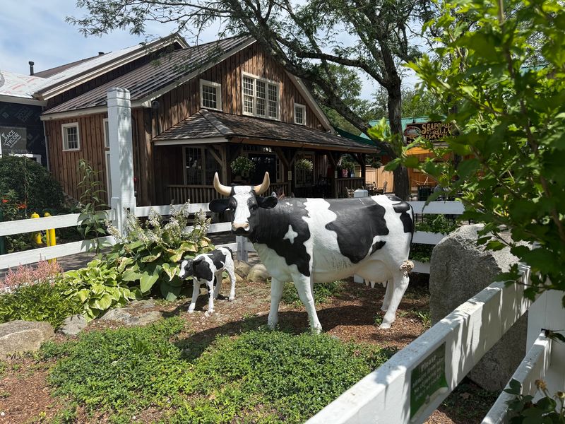 Goats, Reptiles, And Ponies Steal The Spotlight