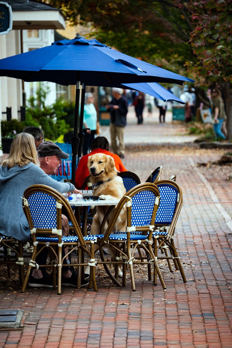Downtown Strolls Made For Browsing And Snacking