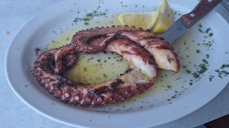 Seafood Fans Should Look Toward The Daily Catch