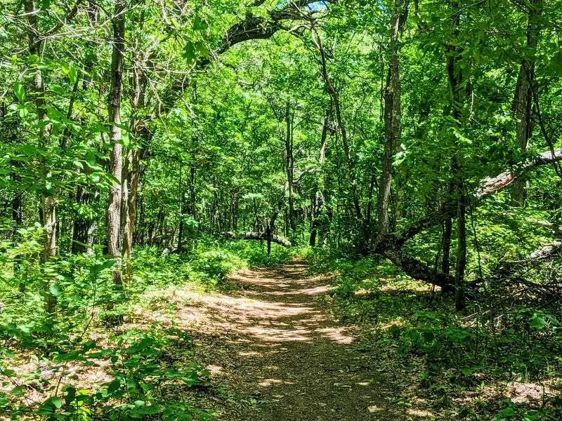 Seven Miles Of Trails Wind Through Dunes, Woods, And River Views