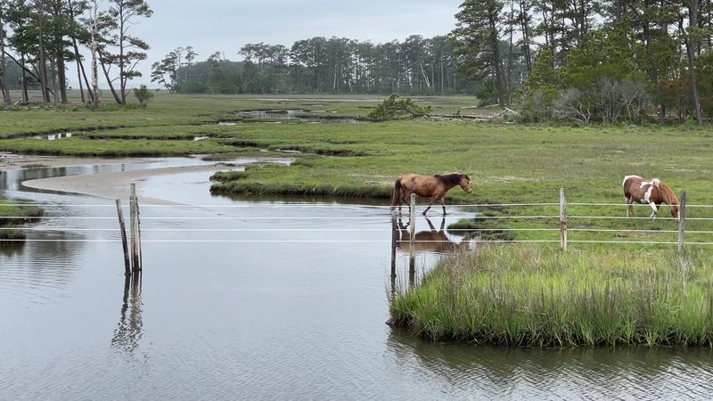 Hop On The Refuge Trek For Back-Road Wildlife Views
