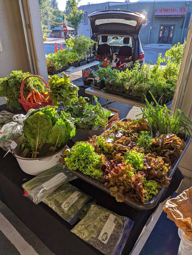 Catch a Seasonal Morning at the Farmers Market