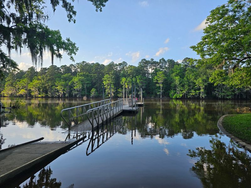 Paddle Beneath Mossy Cypress Trees: Caddo Lake State Park, Karnack, Harrison County,