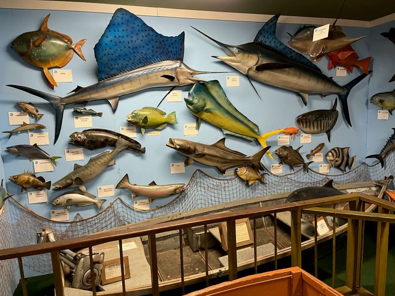 See Trophy Freshwater Fish
