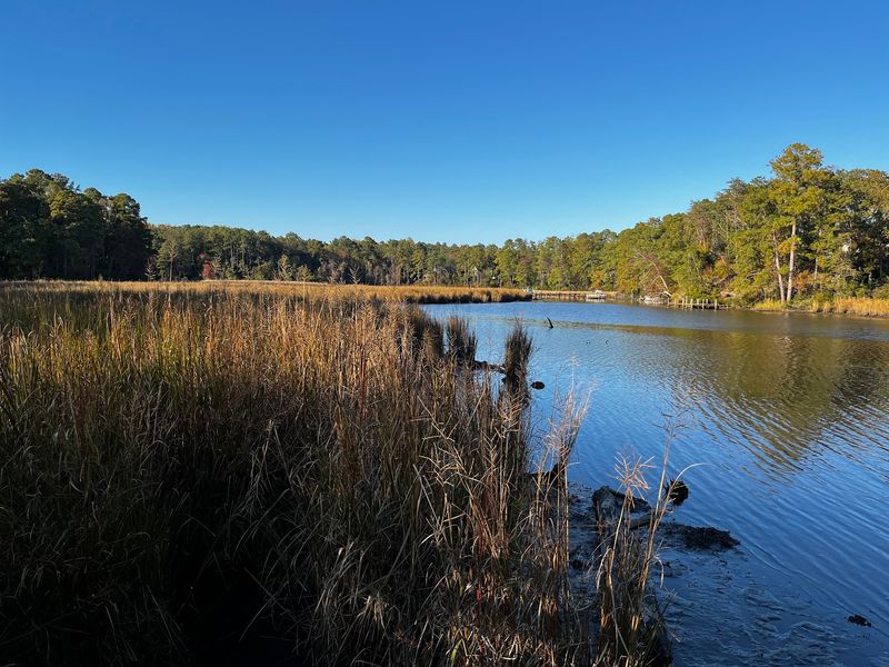 Bush Mill Stream Natural Area Preserve