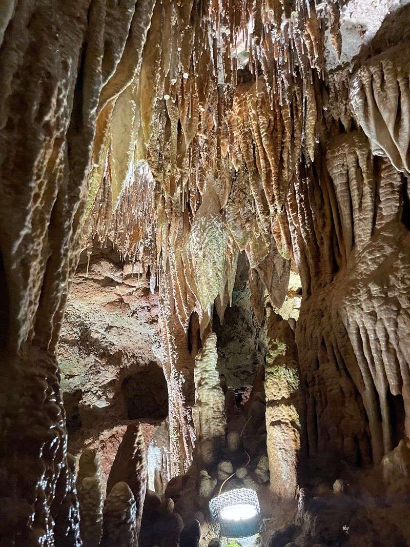 Soda Straws, Draperies, And A Ceiling Full Of Ancient Coral