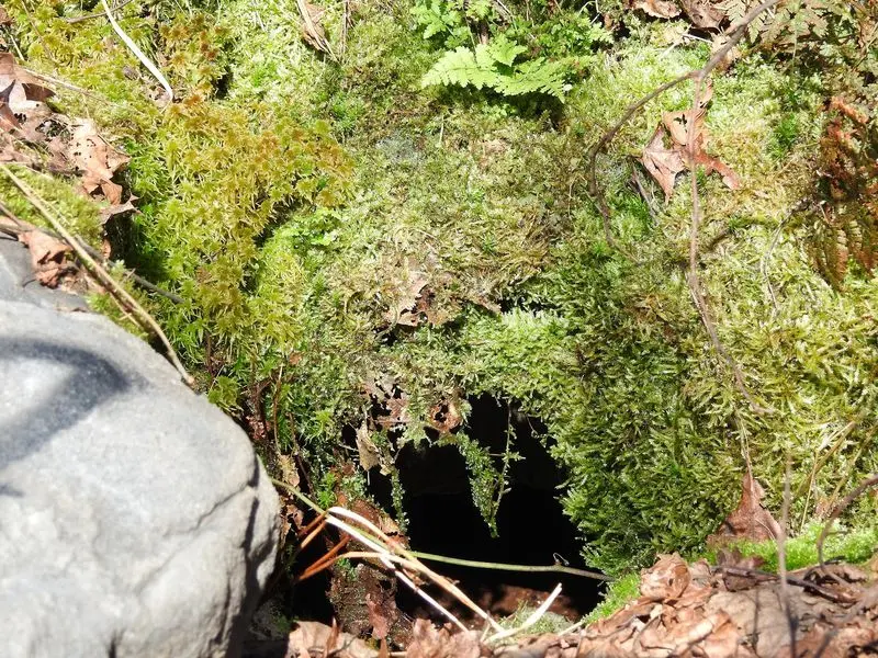 One Scary Sinkhole Made The Whole Country Pay Attention