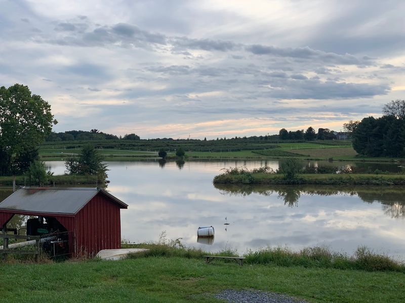 Larriland Farm