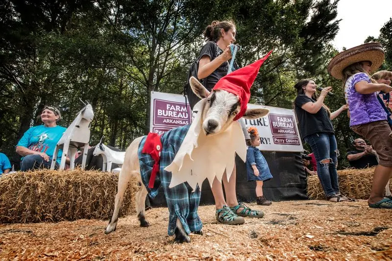 Perryville: Meet the Animals at the Arkansas Goat Festival