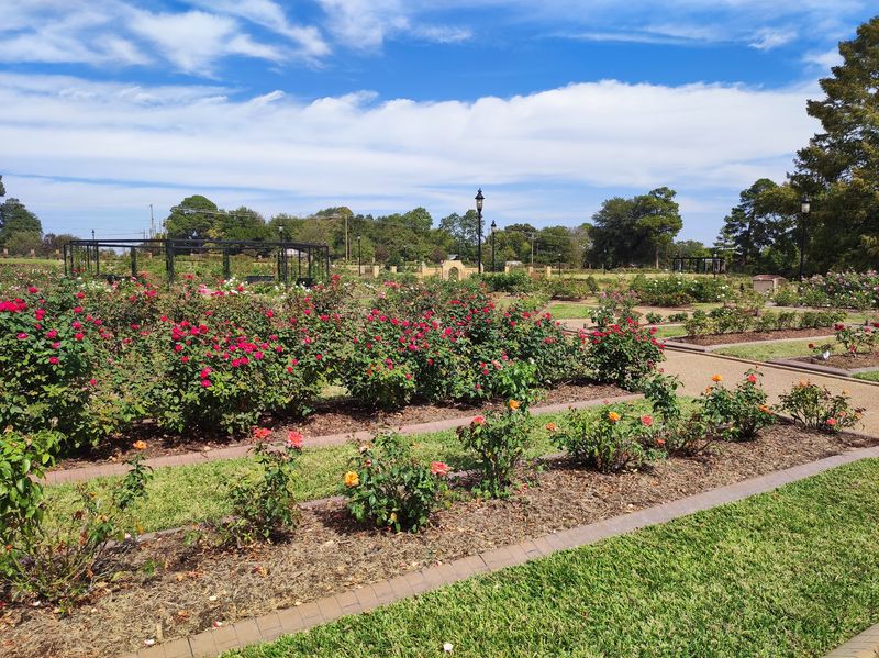 Tyler Rose Garden