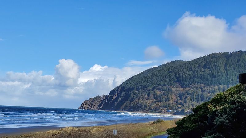 Oswald West State Park And Its Forest Beach
