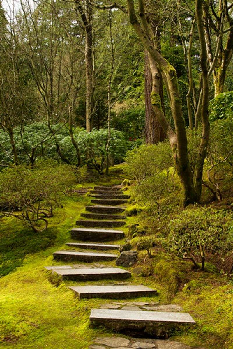 Plan Around Tuesdays, Parking, And That Uphill Walk