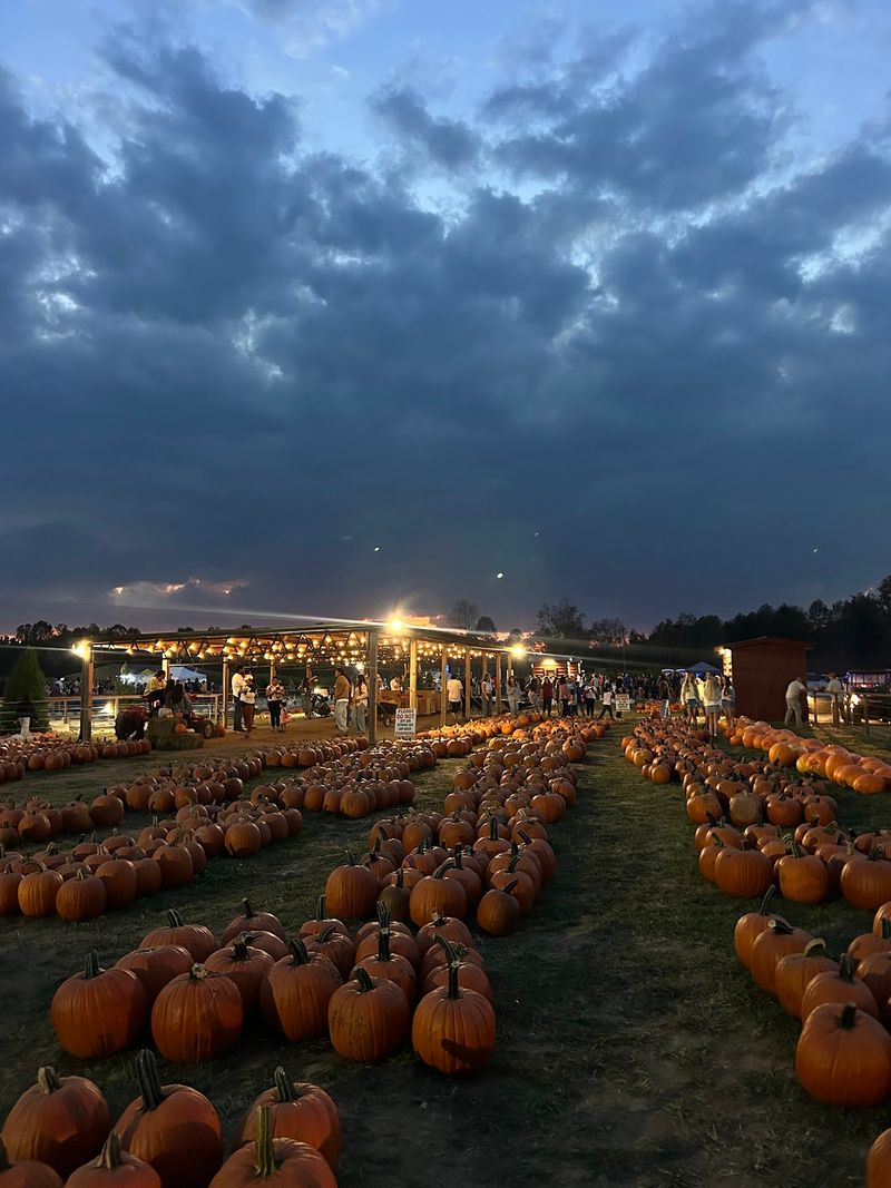 Uncle Shuck's Corn Maze and Pumpkin Patch