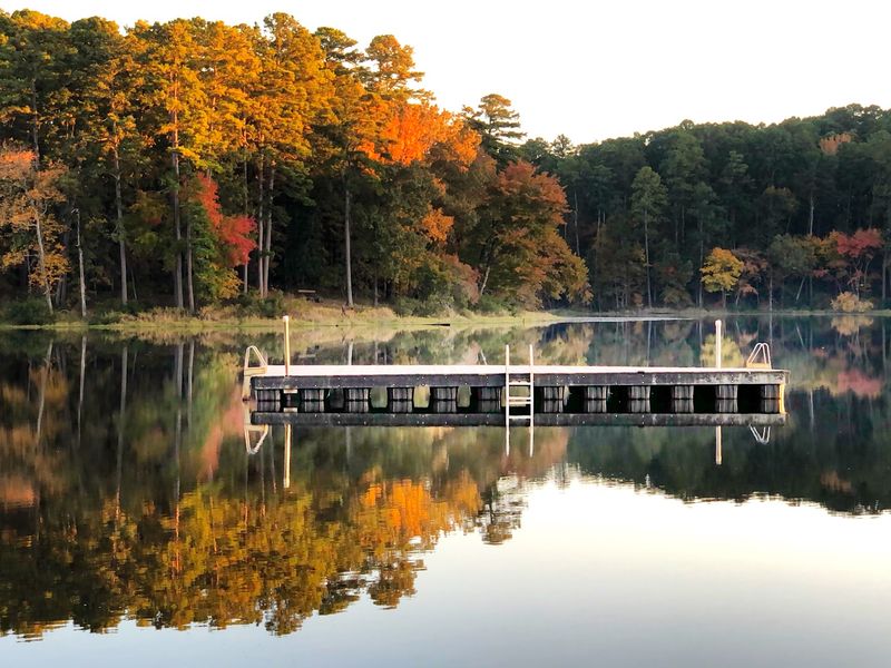 Lakeside Layers at Daingerfield State Park