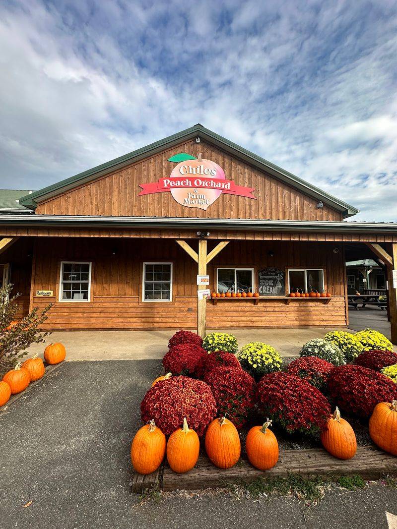 Chiles Peach Orchard and Farm Market, Crozet, VA