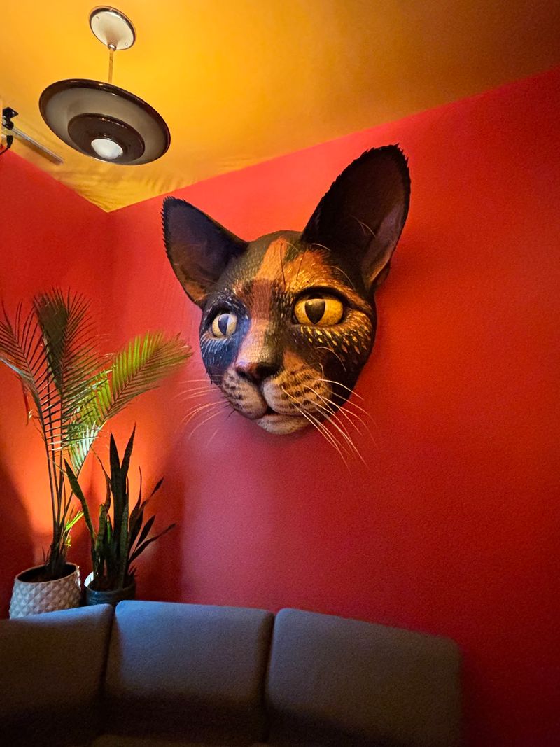 The Walls Are Literally Full Of Curious Cats