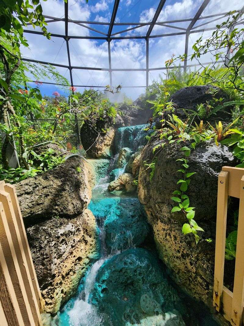 Rainforest Mist Without The Plane Ticket