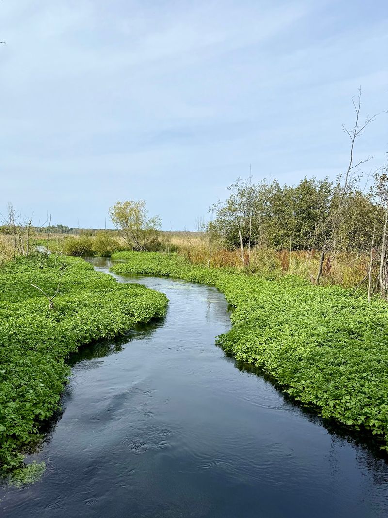 Nesting Season Sets the Route