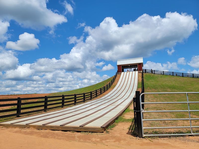 Kids Will Bounce, Slide, And Race Until Naptime Wins
