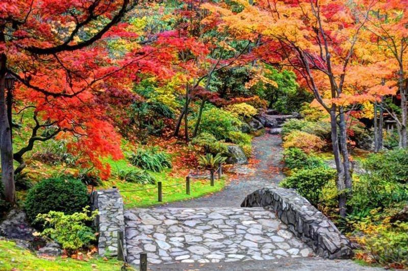 Fall Leaves And A Fragrant Winter Garden Keep The Show Going