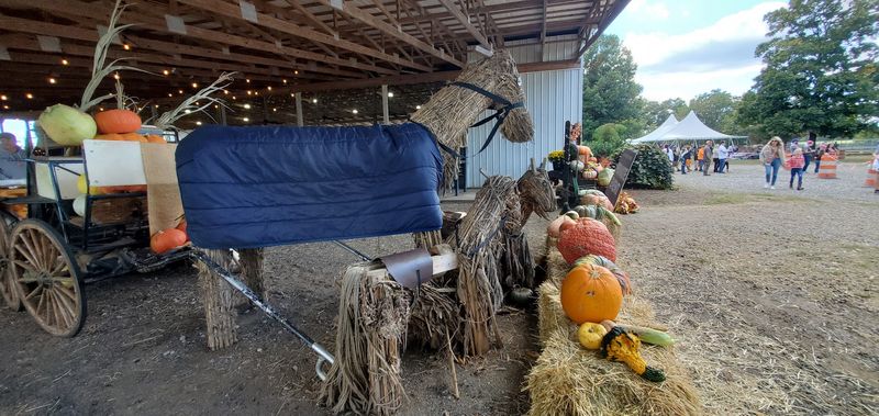 Lloyd Family Farms