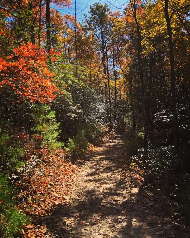Gorges State Park - Sapphire