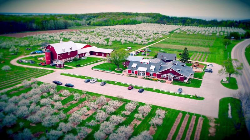 Orchard Scenery With a Seasonal Reality Check