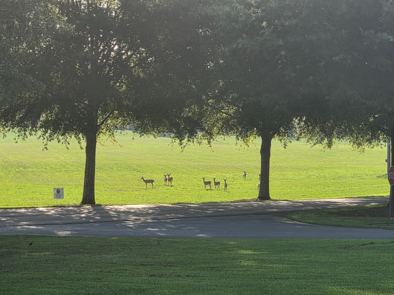 Look for Wildlife and Unusual Natural Habitats