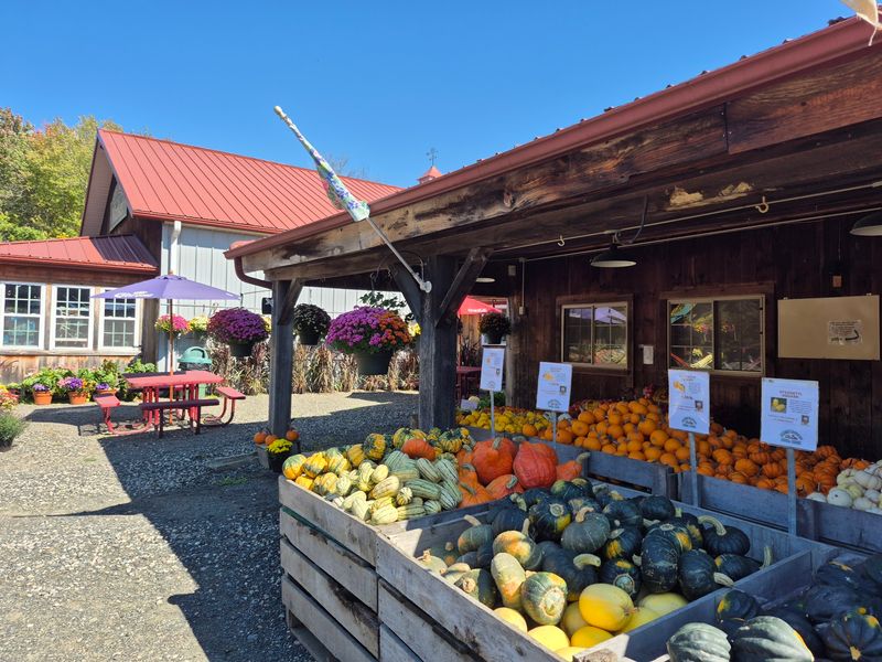 Fresh Produce Changes With Every Season