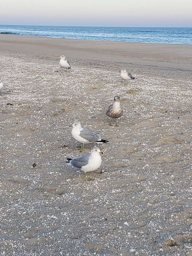 Sandcastles, Shells, And Summer Lifeguards On A Quiet Atlantic Beach