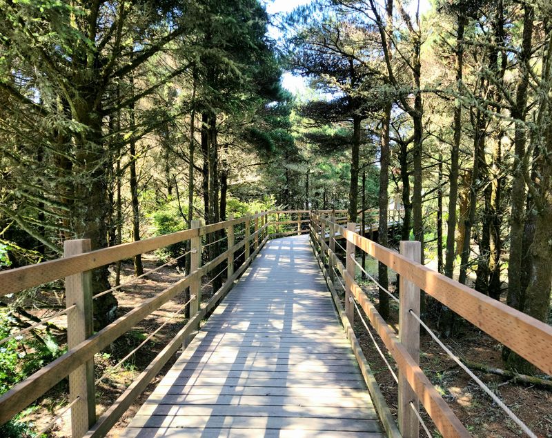 Miles Of Bike Trails Keep Restless Kids Moving All Day