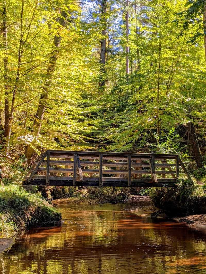 Notice the Small Things at Pigeon Creek