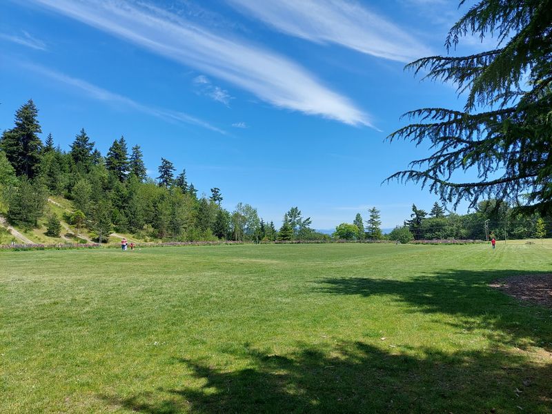 Thirty-Seven Acres To Burn Off Extra Energy