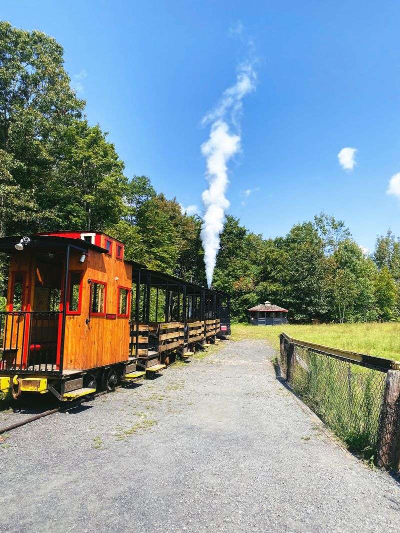 The Steam Train Changes the View