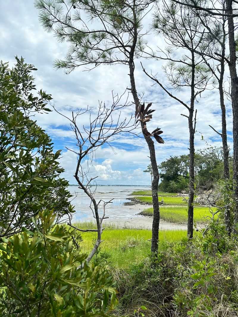 A Quiet Side of the Coast: Theodore Roosevelt Natural Area - Pine Knoll Shores, Carteret County,