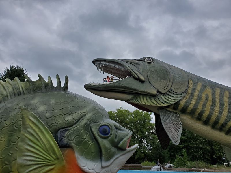 Climb Inside The Fish's Giant Mouth