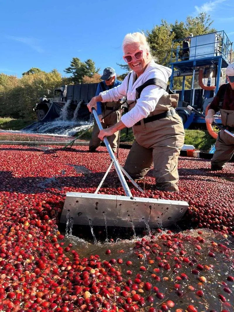 Catch the Red Harvest at Just the Right Moment