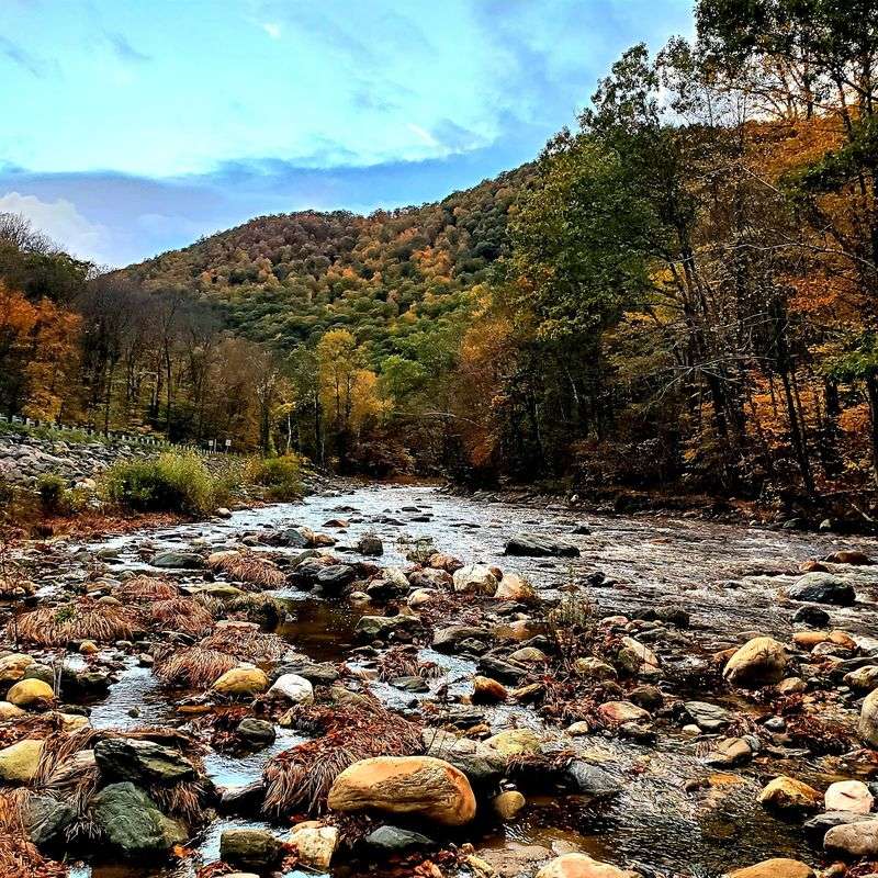Shelburne Falls And The Mohawk Trail: Take A Foliage Drive Through The Hills