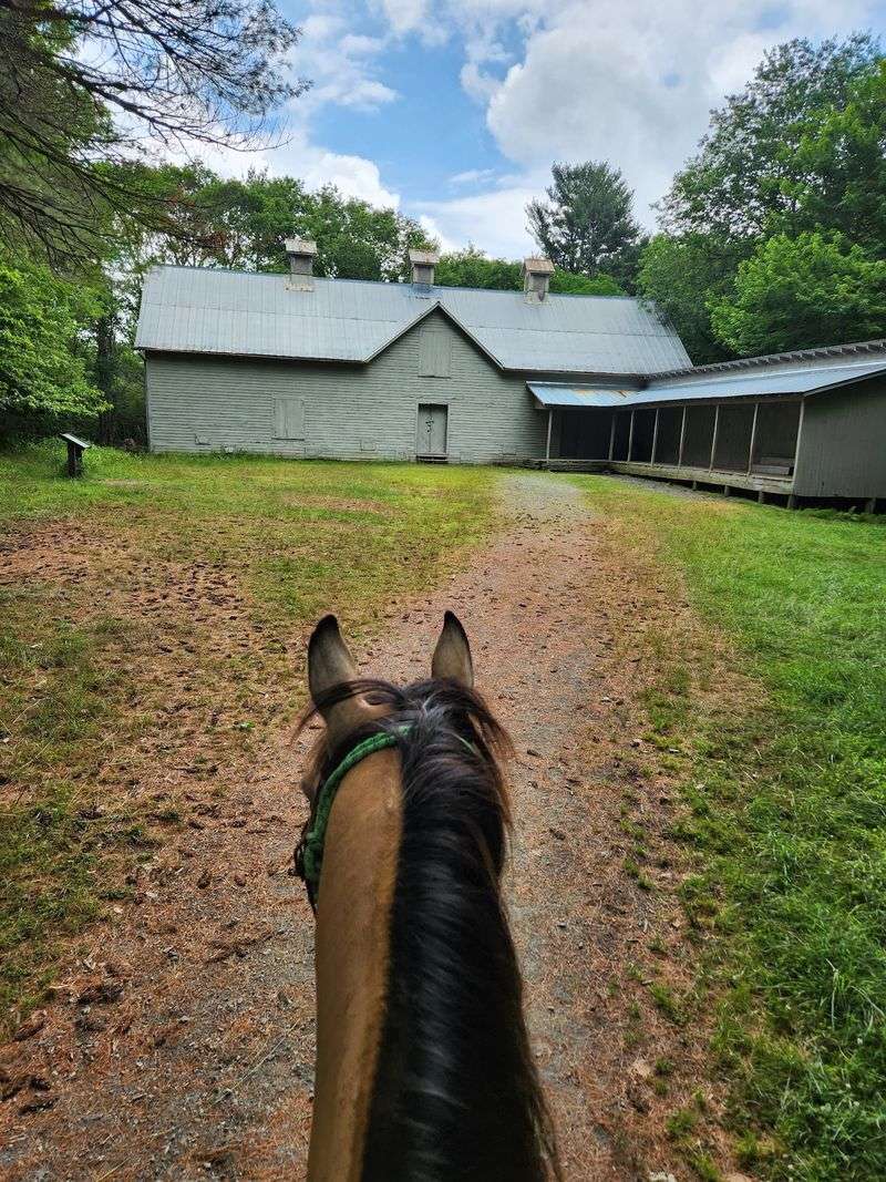 Let the Horses Set the Pace