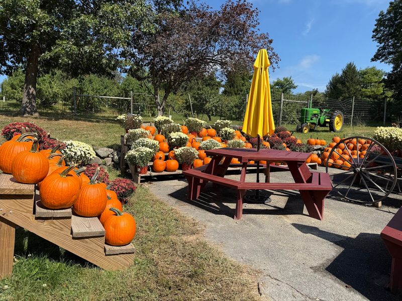 Shelburne Farm