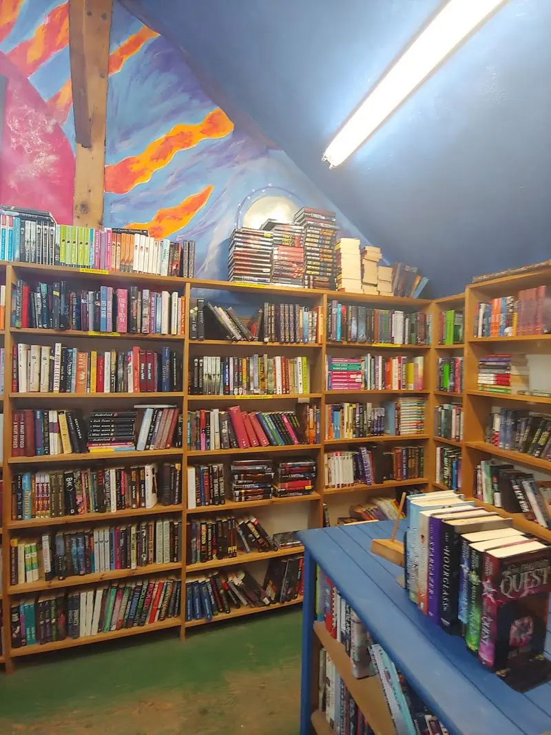 Young Readers Can Walk Out With A Whole Bag Of Books
